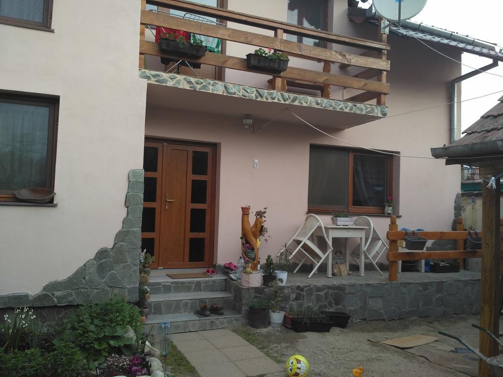 Hotel Casa Teo à Ocna Sibiului Extérieur photo